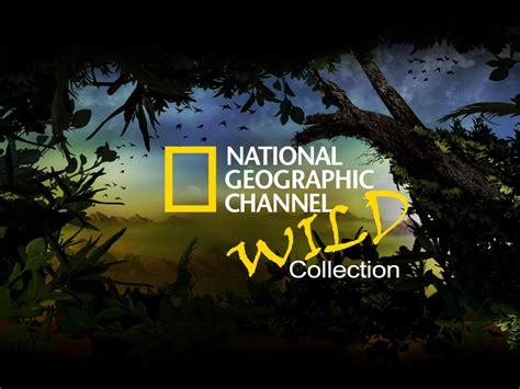 national geografic chanel|free full national geographic documentaries.